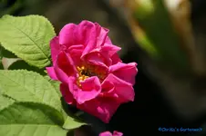 comp_DSC05074.webp