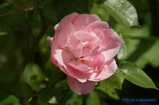 comp_DSC05087.webp