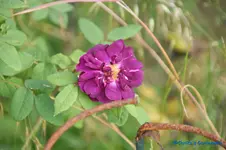 comp_DSC05091.webp