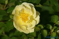 comp_DSC05096.webp