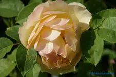 comp_DSC05097.webp