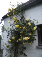 BILD5096.webp