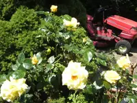 BILD5104.webp