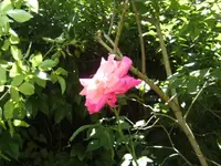 BILD5103.webp