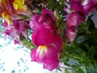 DSC03297.webp