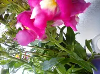 DSC03299.webp