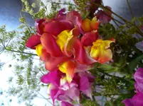 DSC03301.webp