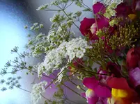 DSC03300.webp
