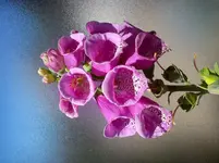 DSC03318.webp