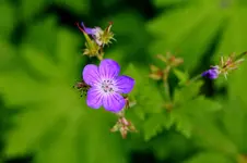 2016-06-10-8913.webp
