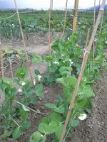 20160611_093551.webp