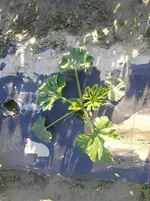 20160610_190830.webp
