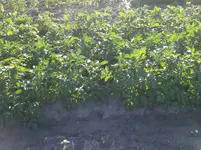 20160610_190850.webp