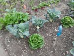 20160611_093708.jpg