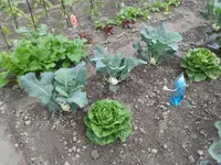 20160611_093708.webp