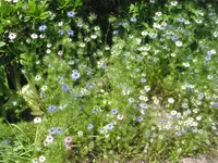 010.webp