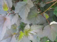 023.webp