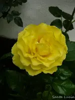 P1120205.webp