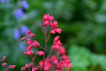 DSC_4688.jpg