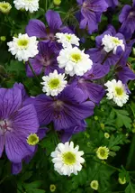 P1120194.webp