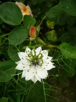 P1120197.webp