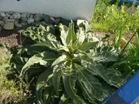 k-P1110257.webp
