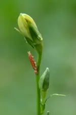 DSC_4760.webp