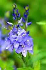 DSC_4635.webp