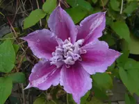 019.webp