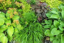 DSCF6287 (2).webp