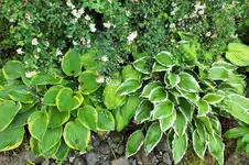 DSCF6288 (2).webp
