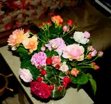 IMG_0909.webp
