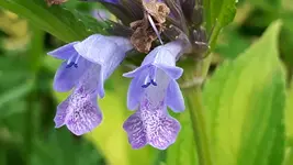 20160611_151537.webp