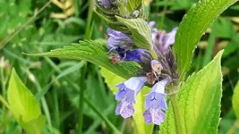20160611_151515.webp