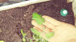 20160612_131839_Film4.webp