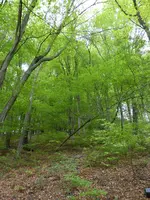 P1000486.jpg