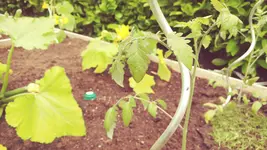 20160612_131920_Film4.webp