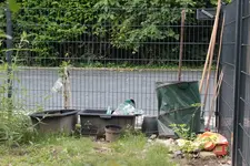 Vorher 160611.webp