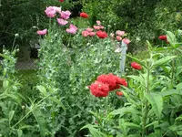 IMG_4915.webp