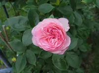 IMG_4881.webp