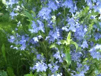 BILD5111.webp
