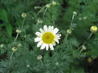 IMG_4904.webp