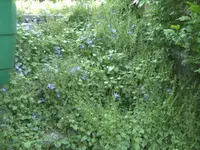 BILD5117.webp
