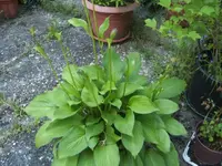 BILD5123.webp