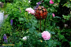 IMG_0912.webp