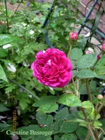 IMG_6326.JPG
