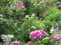 IMG_6329.webp