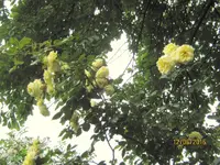 IMG_6338.webp