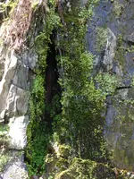 P1000320.webp