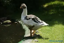 comp_DSC05110.webp